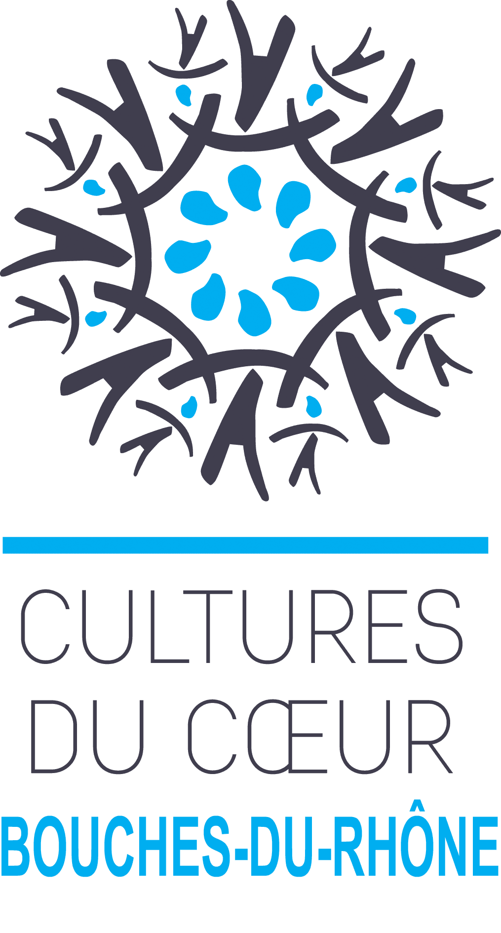 Logo-CDC13-Png-cpsed-8